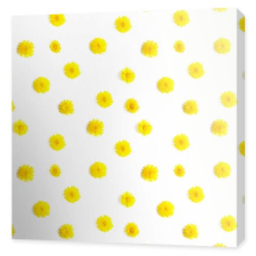 Pattern made from natural yellow wildflowers. Abstract floral composition. Frame of plants. Top view, flat lay. Floral, plants background. Mother's Day, March 8 background