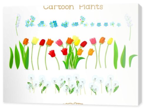  Plantae series cartoon plants: Spring tulips flowers set