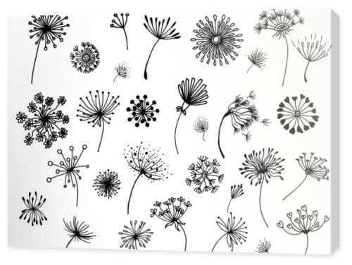 Hand-drawn doodle set of dandelions, can be used for cards and stickers. Set of abstract graphic doodle dandelions. Decorative Elements for design, dandelions.