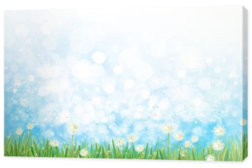 Dandelions field on blue sky  bokeh background.