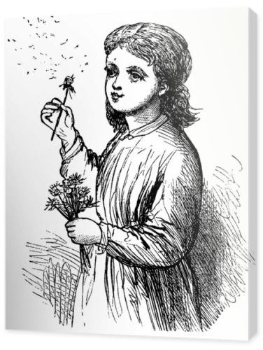 Young Girl Gliding Dandelions by blast of air., vintage line drawing or engraving illustration. 