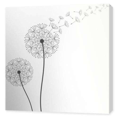 Dandelion background. Vector illustration