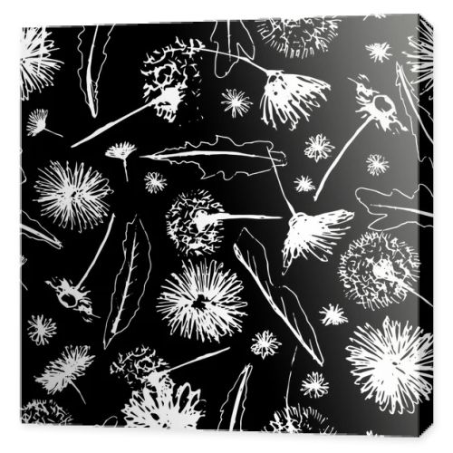 Vector black and white floral dandelions blowballs and daisies seamless pattern background