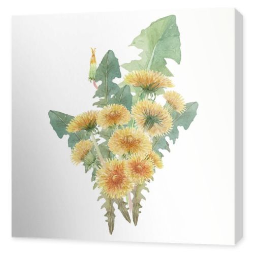 bouquet of watercolor dandelions