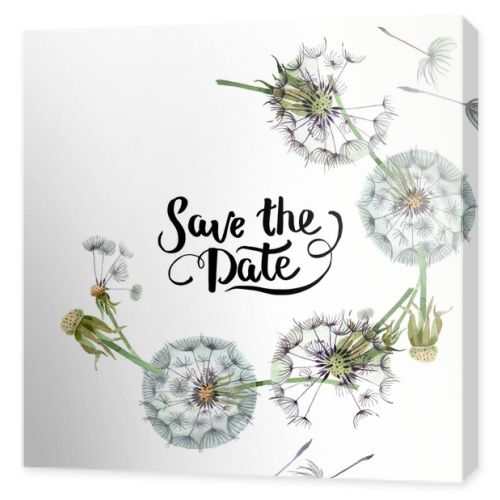Dandelion blowball with seeds. Watercolor background illustration set. Watercolour drawing fashion aquarelle isolated. Frame border ornament square.