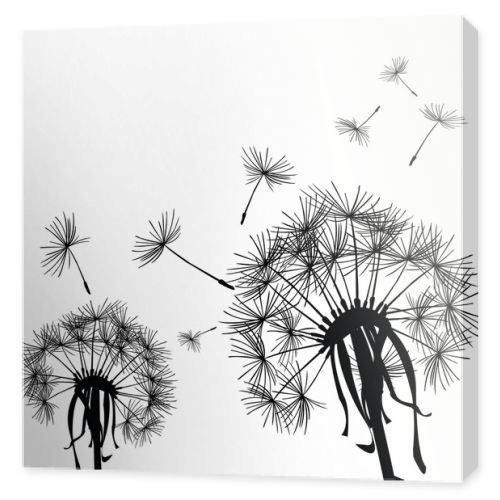 Black dandelion in the wind