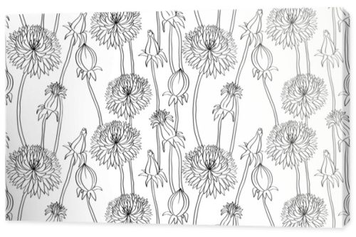 Floral seamless pattern with hand drawn dandelions