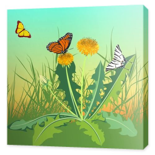 Three butterflies flying in a field