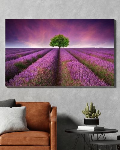 Stunning lavender field landscape Summer sunset with single tree