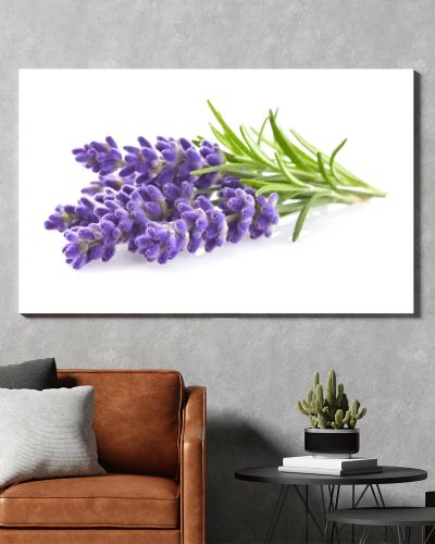 Lavender flowers