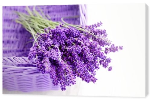 Lavende in wicker basket