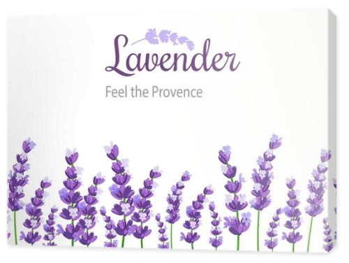 Lavender Card with flowers. Vintage Label with provence violet lavender.