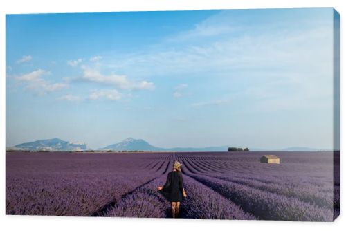 back view of girl walking on picturesque lavender field in provence, france