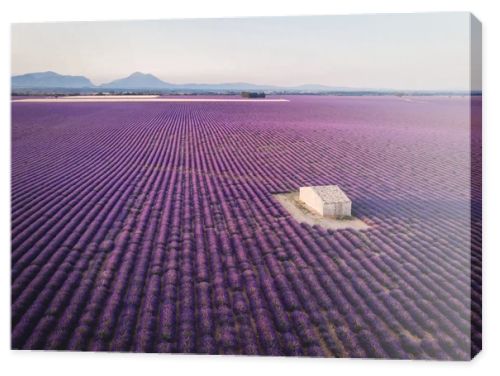 farm