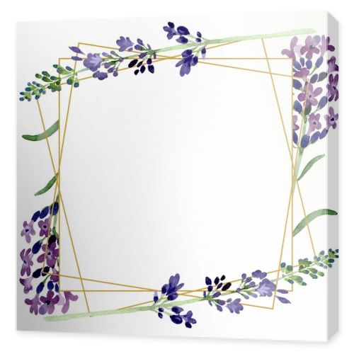 Violet lavender floral botanical flower. Watercolor background illustration set. Frame border ornament square.