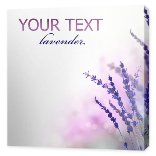 Lavender flowers border