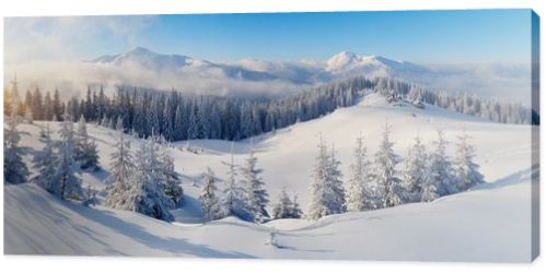 Panorama of winter mountains