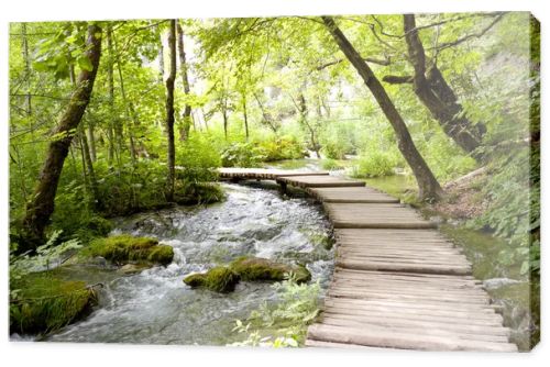 Plitvice lakes - wooden pathway.