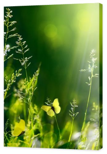 Abstract summer floral green nature background