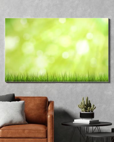 green grass and sunlight