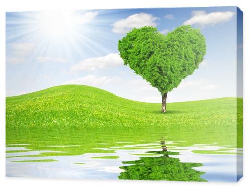 tree in the shape of heart