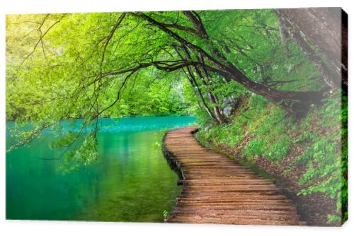 Deep forest stream with crystal clear water in the sunshine. Plitvice lakes, Croatia