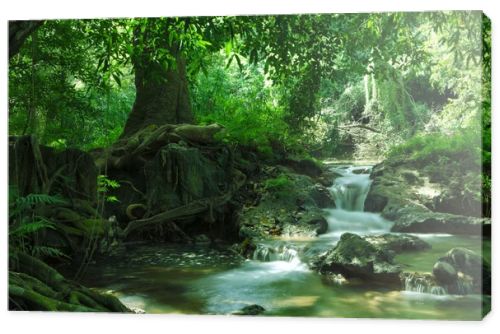 panorama view of nice waterfall and pond in green tropical environment