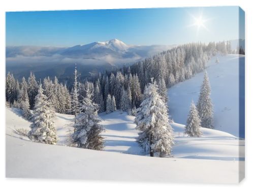 Winter day in the mountains