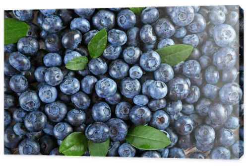 Tasty ripe blueberries with green leaves close up