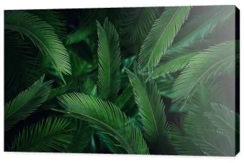 Many bright green tropical leaves as background