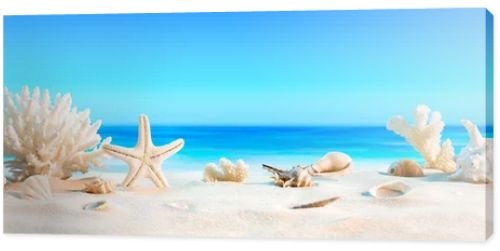 Landscape with seashells on tropical beach - summer holiday