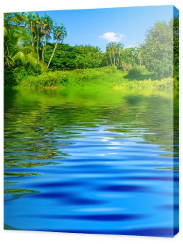 Surface Rippled of water and nature background