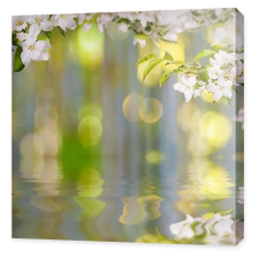 Apple flowers background