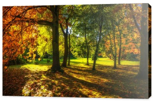 Beautiful colorful autumn.