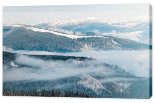 scenic view of snowy mountains with pine trees in white fluffy clouds