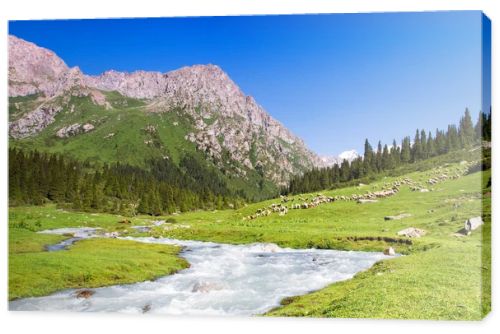 Alatau Plateau in Tian Shan mountains, Karakol, Kyrgyzstan, Central Asia