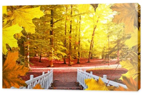 Autumn background. White small bridge in the park.
