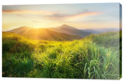 Mountain valley during sunset. Field with fresh grass and the mountain hills. Natural landscape at the summer time
