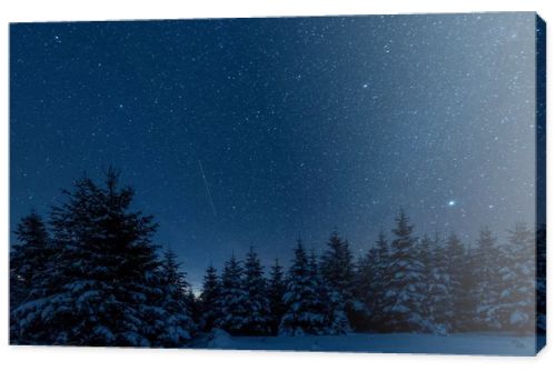 dark sky full of shiny stars in carpathian mountains in winter forest at night