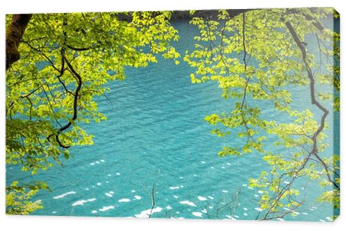 Beautiful summer background with green trees near the blue water near the lake, summer bright background