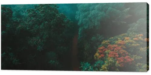 Gentle mist wraps around a serene forest path lined with vibrant autumn colors.