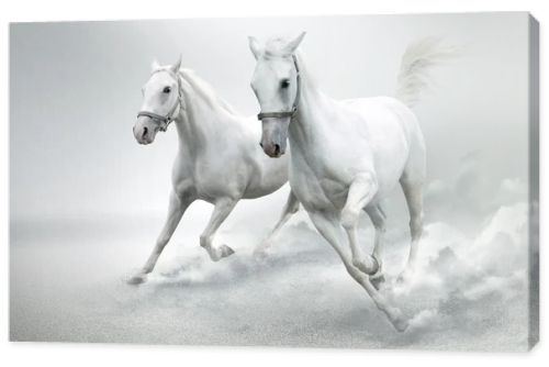 White horses