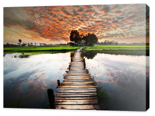 Tropical river