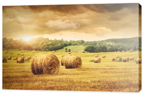 Field of freshly bales of hay with beautiful sunset