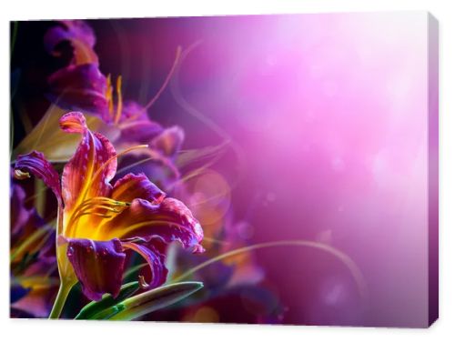 Flowers on a red background .With copy-space