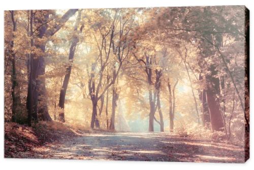 Golden autumn, landscape