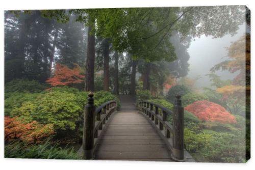 The Bridge in Japanese Garden