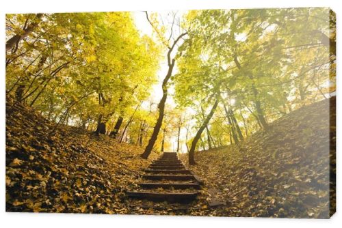 stairs in autumn park