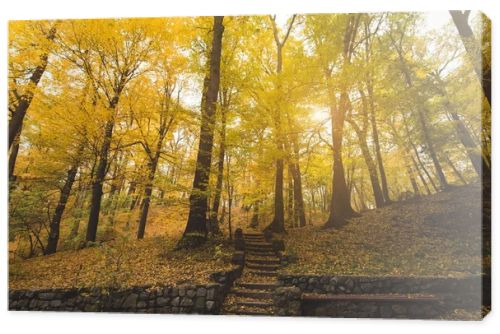 stairs at autumn park