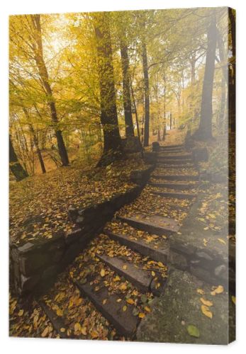 stairs at autumn park